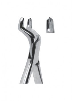Extracting Forceps